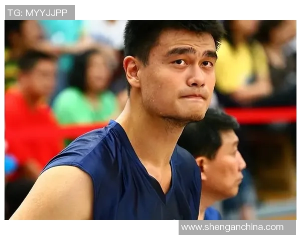 姚明职业生涯资讯与荣誉成就所有面回顾与分析