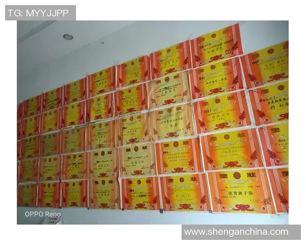 追逐梦想的脚步足球明星的奋斗与荣耀之路