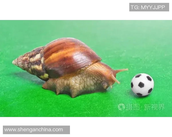 足球明星蜗牛的真实身份揭秘及其刚刚足球界的影响力分析